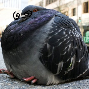 peoni