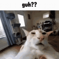 Realpepijn