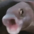 peppow