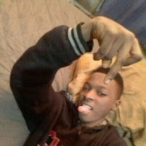 percky_code