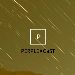 PERPLEXiTY