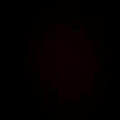 petunio53_gmail_com