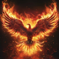 phoenix909