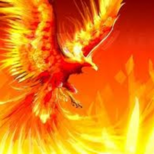 PhoenixXIII