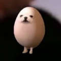 pinto_bean