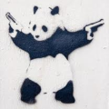 Pistolsforpandas