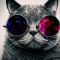 Dj Cat