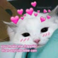 planetslimesfer_gmail_com