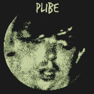 plibe95
