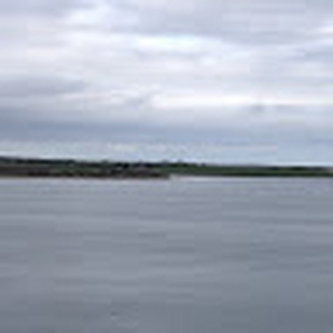 pliddle34