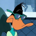 polaar dalton