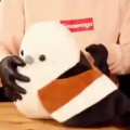 polozepolo