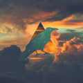 Polygon Music
