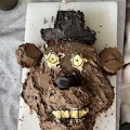 poopdroponthelawn