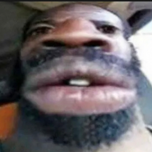 porcusorul1