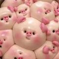 porkbuns
