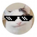 PPapad