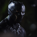 The Black Panther