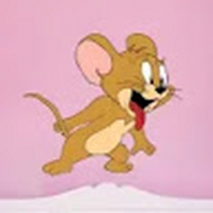 Prinkesh
