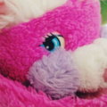 PrizePopple