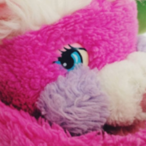 PrizePopple