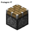 protagnis_yt