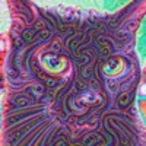 psycat
