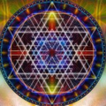 psychedelicbrains