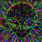 psychedeligoa4884