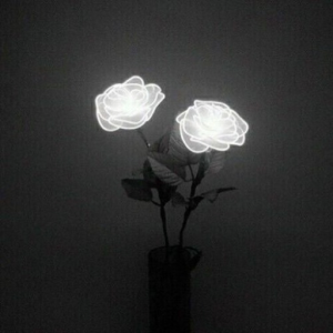 Truba_21_-_