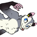 PunkyPossum