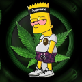 pupicek8