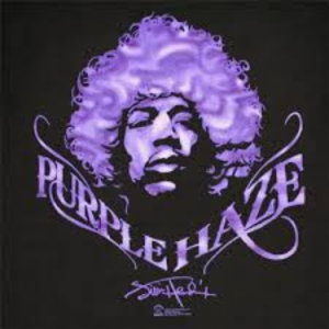 Purple-Haze