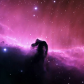 purplebandido1