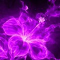 Purpleflames