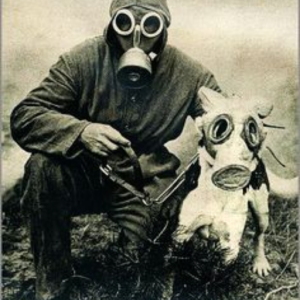 Pyro
