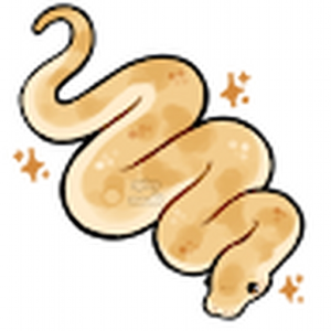 python_VP
