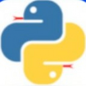 python_yyds