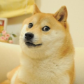qazwsx930719_gmail_com