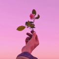 ♡ Q U E E N Y ♡