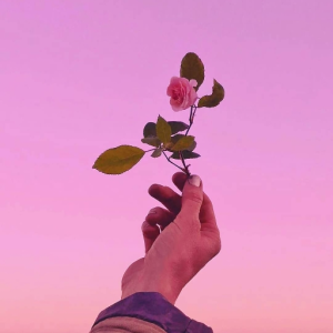 ♡ Q U E E N Y ♡