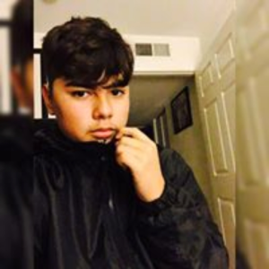 qvjesse