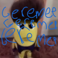 qwerter