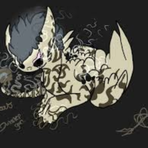 qwerty56