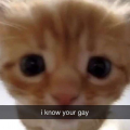 Blastyy_