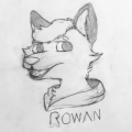 RukkusFox