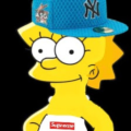radixsteam