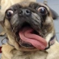 Rafferio