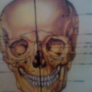 Foo TNose