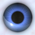 railia